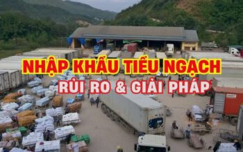 Rủi ro khi Nhập khẩu tiểu ngạch và giải pháp