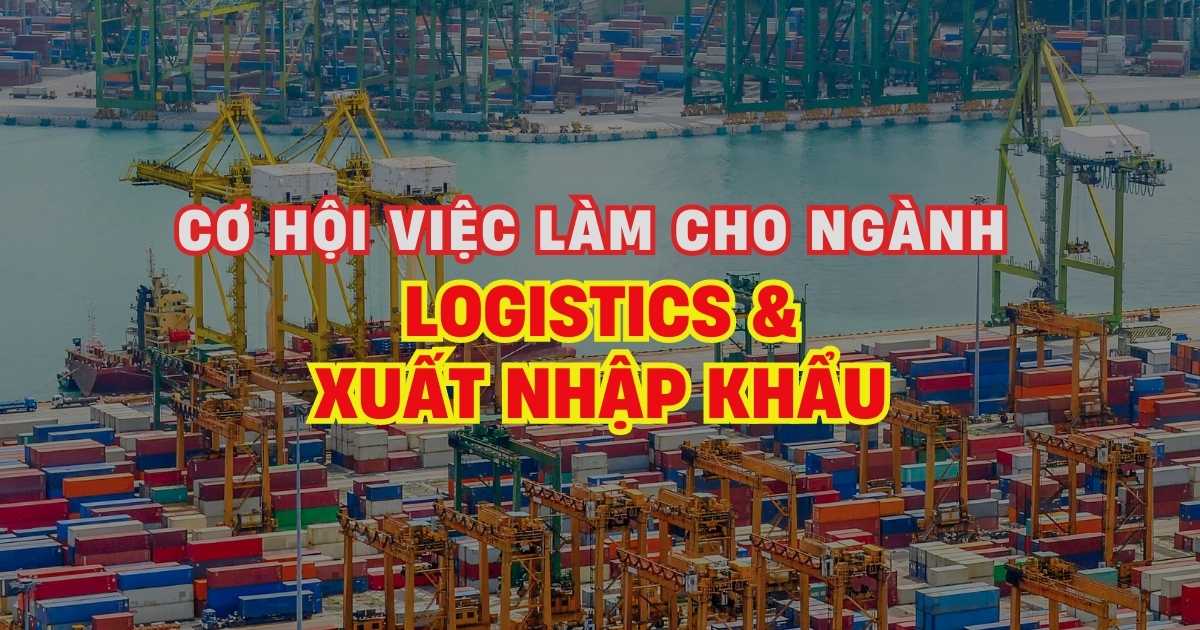 Cơ hội việc làm nào cho ngành Logistics và xuất nhập khẩu?