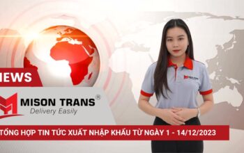 Tổng hợp tin tức thị trường xuất nhập khẩu từ ngày 1 - 14/12/2023