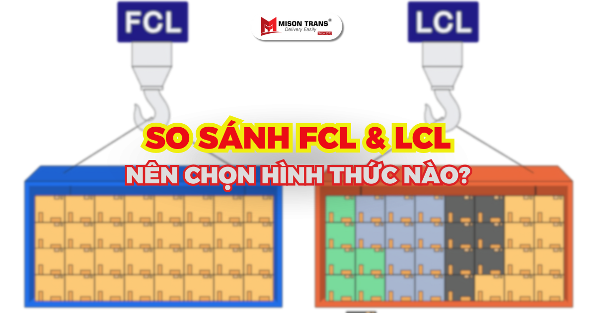 Nên chọn FCL hay LCL? So sánh chi tiết để tối ưu chi phí