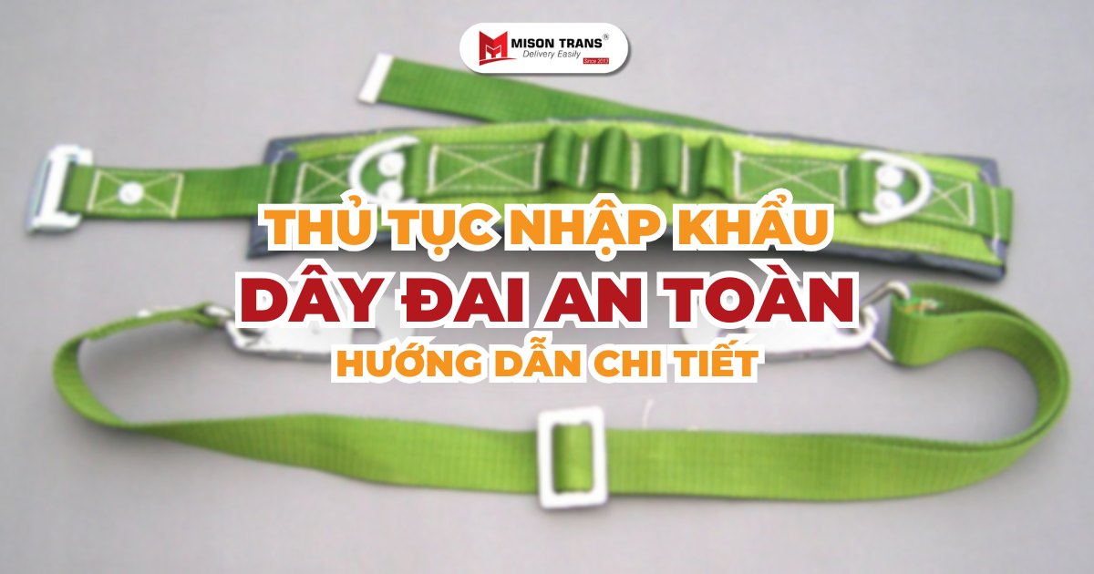 Thủ tục nhập khẩu dây đai an toàn: Hướng dẫn chi tiết từ A-Z