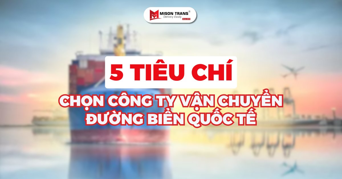 5 Tiêu Chí Lựa Chọn Công Ty Vận Chuyển Đường Biển Quốc Tế