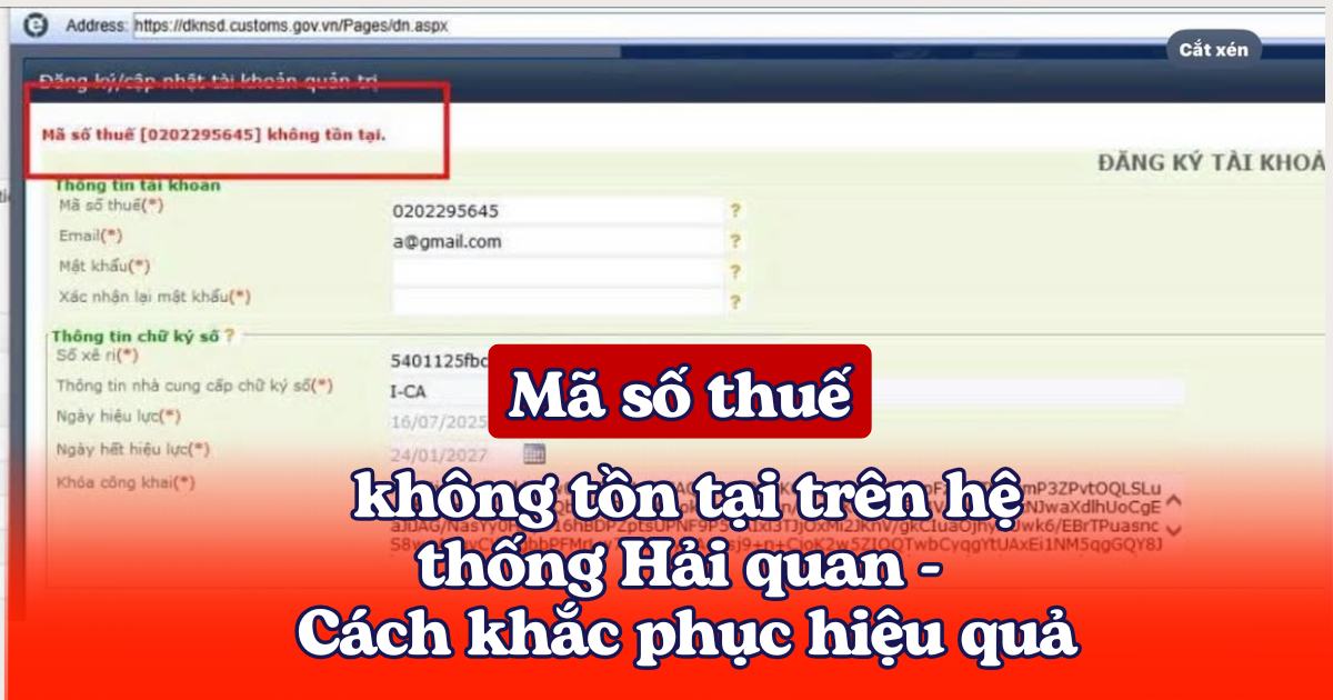 Mã số thuế không tồn tại Hải quan - Cách khắc phục hiệu quả