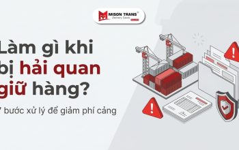 Làm gì khi bị hải quan giữ hàng? 7 bước xử lý để giảm phí cảng