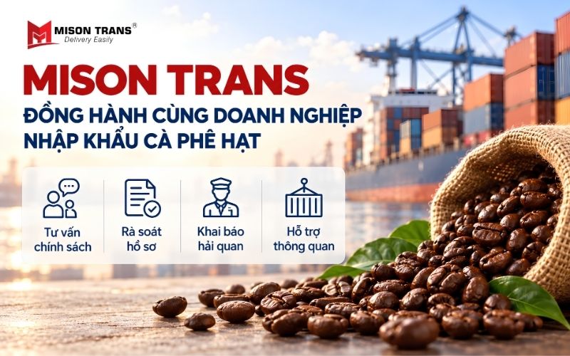 Mison Trans hỗ trợ doanh nghiệp chuẩn bị hồ sơ và khai báo hải quan nhập khẩu cà phê hạt